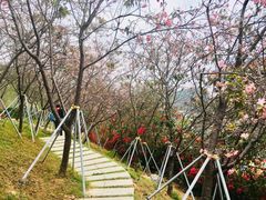 -小南山公园