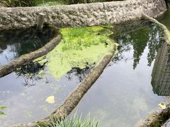 -成都市活水公园