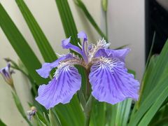 -朋友家餐厅·民宿(龙泉阳光城百工堰公园店)