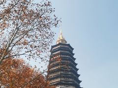 -红梅公园