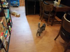 -元氏钵仔糕(北京路店)