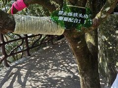 -石台牯牛降景区