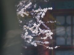 -颐和园