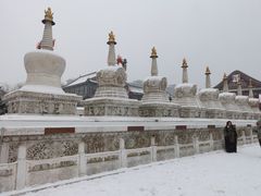 -大召无量寺