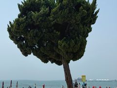 -青岛第一海水浴场