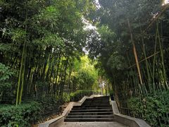 -西安市长乐公园
