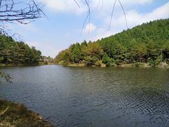-四明山国家森林公园