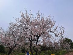 -前关湿地公园