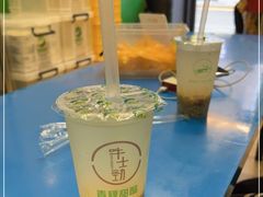 -德禄酸奶(莫家街店)