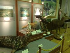 -北海道厅旧本厅舍(旧本庁舎)