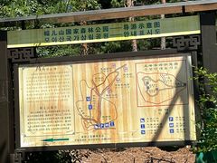 -帽儿山国家森林公园