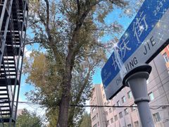 -东北师范大学附属中学(自由校区)