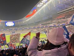 -八万人体育馆-外场足球场