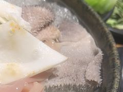 -白乐天毛肚火锅馆(南滨路店)