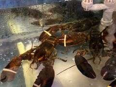 水产区-辉记炭烧海鲜大排档·老字号(福田店)