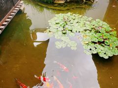 -膳和缘炒鸡店(南门路店)