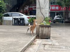 -微焙咖啡工厂(海峡创意产业园·红坊店)