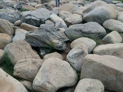 android_upload_pic-沙澧河风景区