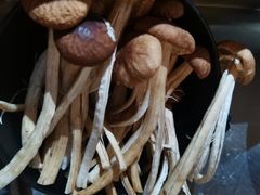 -探窝·竹笙椰子鸡(杨箕店)