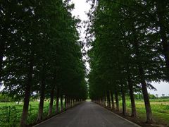 -嘉北郊野公园