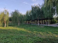 -西青郊野公园