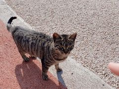 -昆山城市生态森林公园