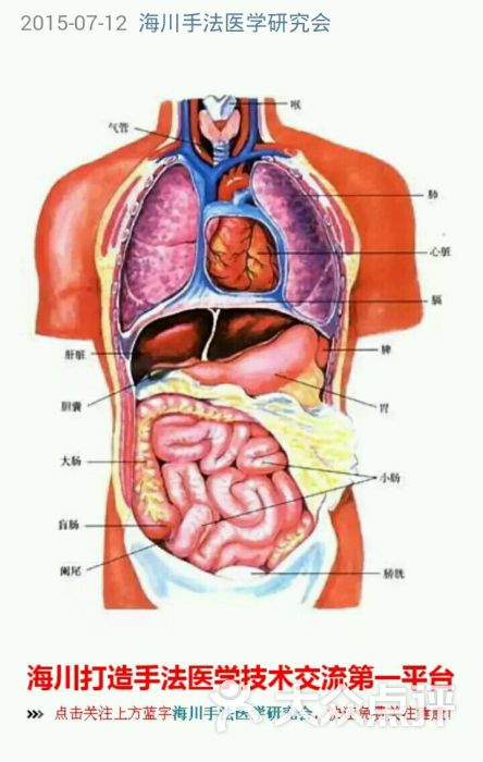 推拿养生会所上传的图片