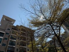 -茂业天地(华强北店)