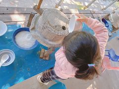 -宁波九龙湖开元度假村