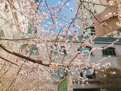 -张大师鸭爪爪特色干锅(钱塘江路店)