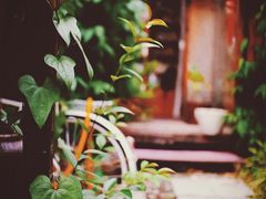 -回龙窝历史文化街区