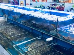 -金海湾海鲜排档(朱家尖店)