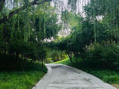 -北坞公园