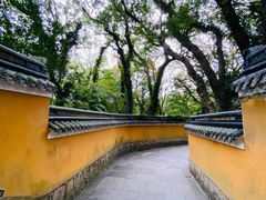 -普陀山风景名胜区-法雨禅寺