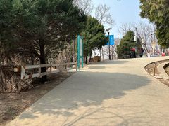 -府君山公园