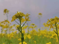 -北京金海湖景区