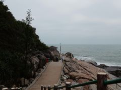 -广东惠东海龟国家级自然保护区