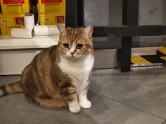 -咖法森林·咖啡  酒吧(天河店)