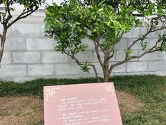 -屈原故里文化旅游区