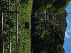 -青青世界