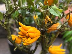 -我嘉书房(南翔名士居店)