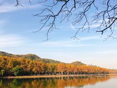 -杭州西湖风景名胜区-北街寻梦