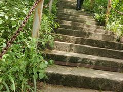 -陕西省红河谷森林公园