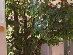 -巴渝瓦肆重庆鲜火锅(宝龙环湖店)