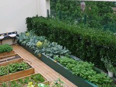 -上海民办包玉刚实验学校(小学部)