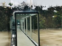 -金泽21世纪美术馆