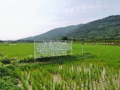 -艾米稻香小镇