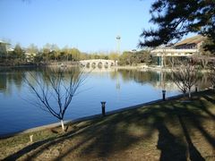 DSC03738-钓鱼台国宾馆