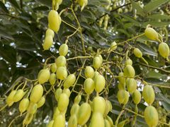 -南京市无想山景区