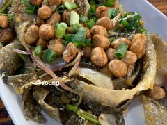 -章记正宗南岗鱼蛋火锅